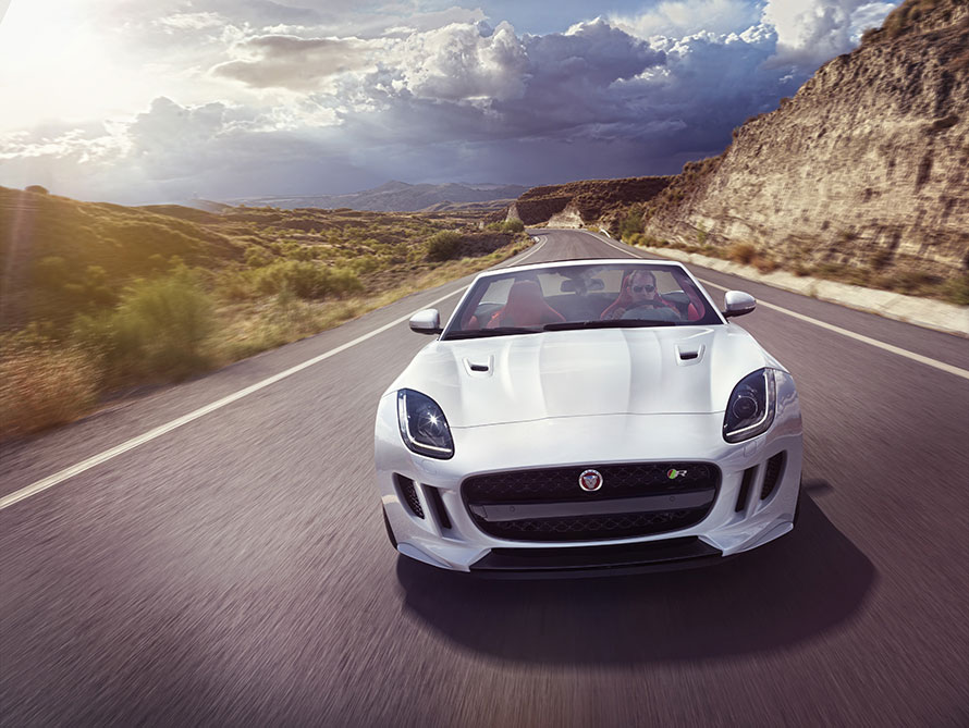 Jaguar-frot